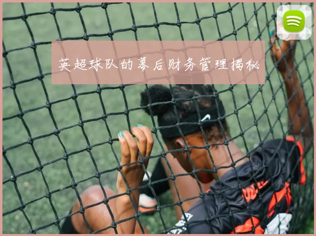 英超球队的幕后财务管理揭秘