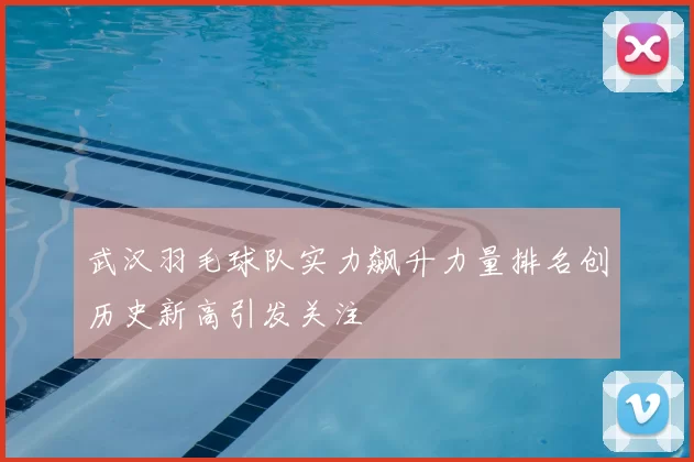 武汉羽毛球队实力飙升力量排名创历史新高引发关注