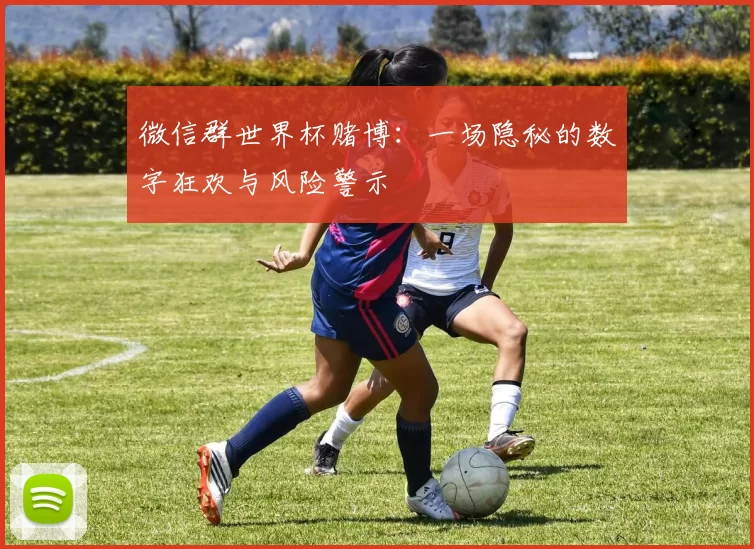 微信群世界杯赌博：一场隐秘的数字狂欢与风险警示