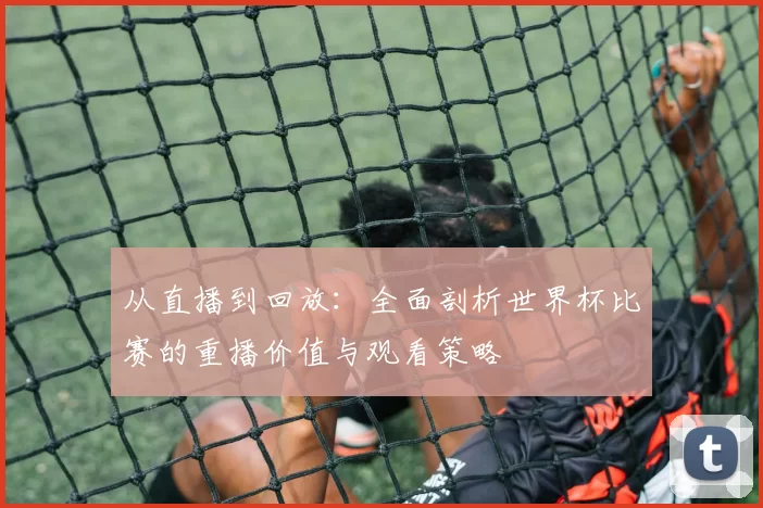 从直播到回放：全面剖析世界杯比赛的重播价值与观看策略