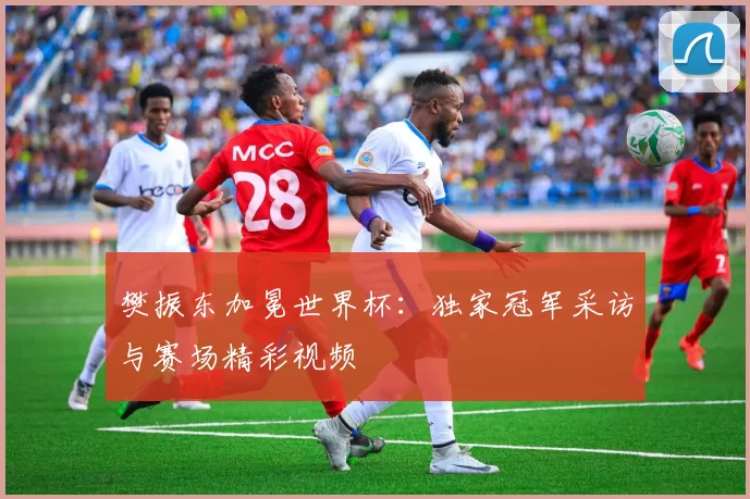 樊振东加冕世界杯:独家冠军采访与赛场精彩视频