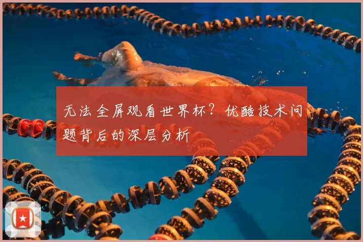 无法全屏观看世界杯？优酷技术问题背后的深层分析