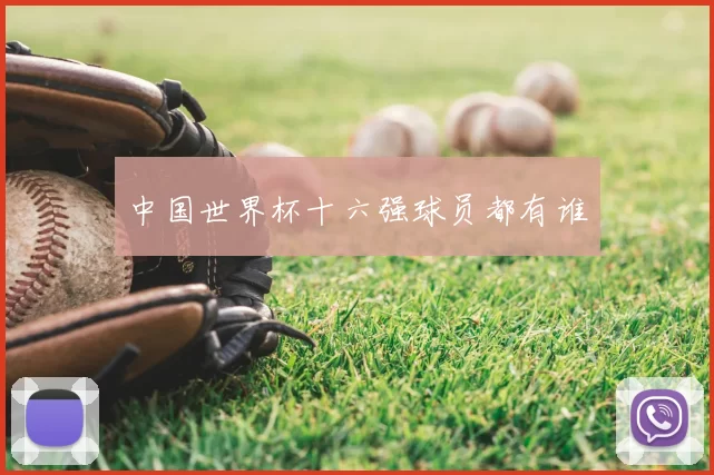 中国世界杯十六强球员都有谁