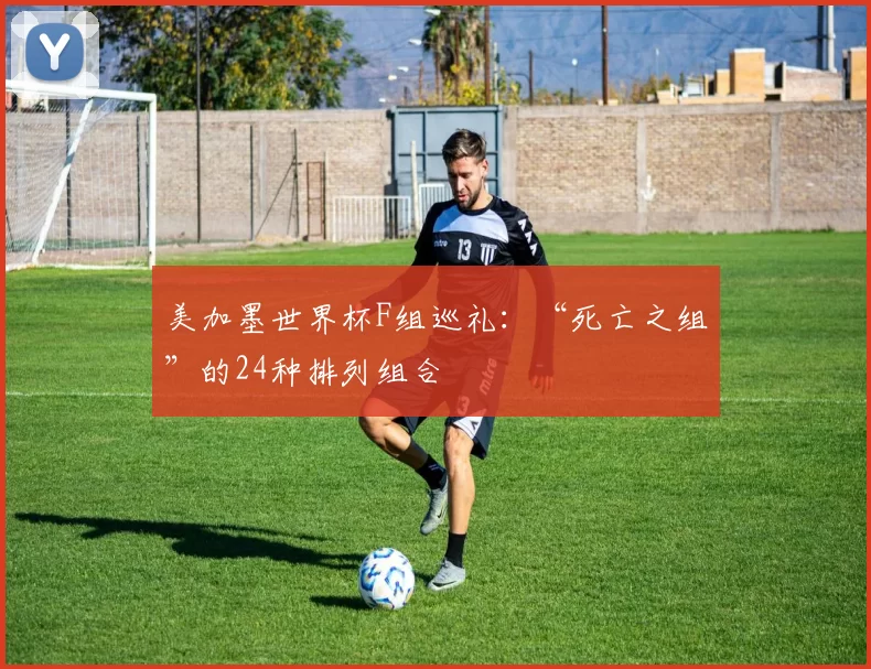 美加墨世界杯F组巡礼：“死亡之组”的24种排列组合