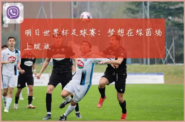 明日世界杯足球赛:梦想在绿茵场上绽放