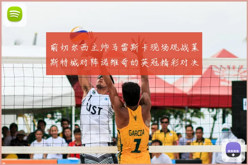 前切尔西主帅马雷斯卡现场观战莱斯特城对阵诺维奇的英冠精彩对决