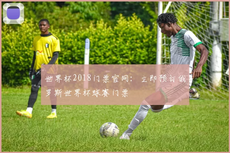 世界杯2018门票官网：立即预订俄罗斯世界杯球赛门票