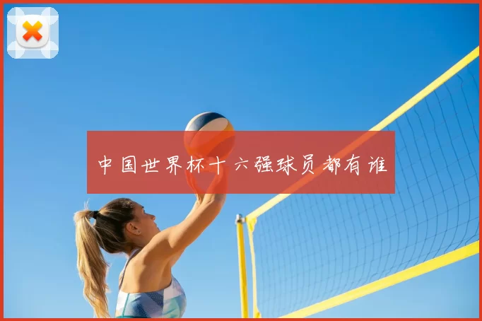 中国世界杯十六强球员都有谁