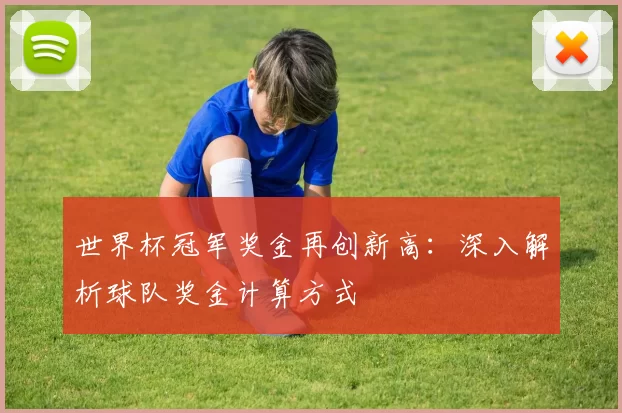 世界杯冠军奖金再创新高：深入解析球队奖金计算方式